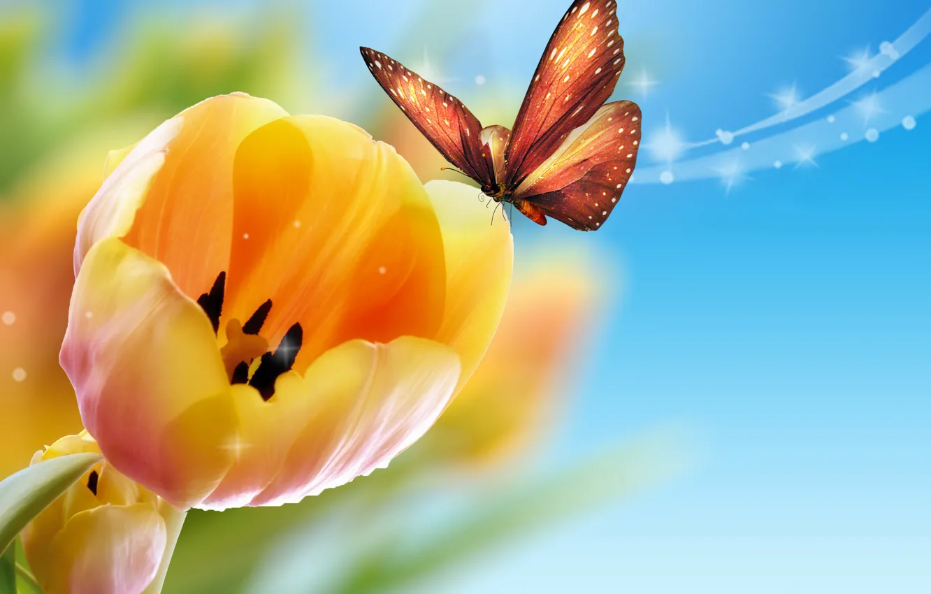 Photo wallpaper butterfly, yellow, tulips, blue background