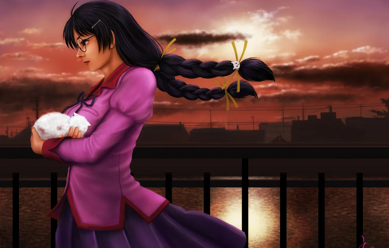 Photo wallpaper girl, sunset, river, art, glasses, profile, braid, kitty