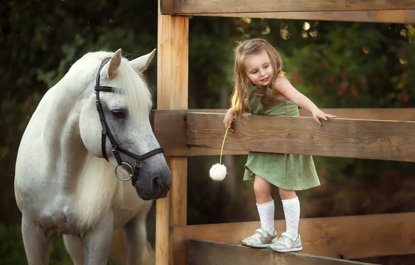Photo wallpaper joy, dandelion, horse, the fence, girl