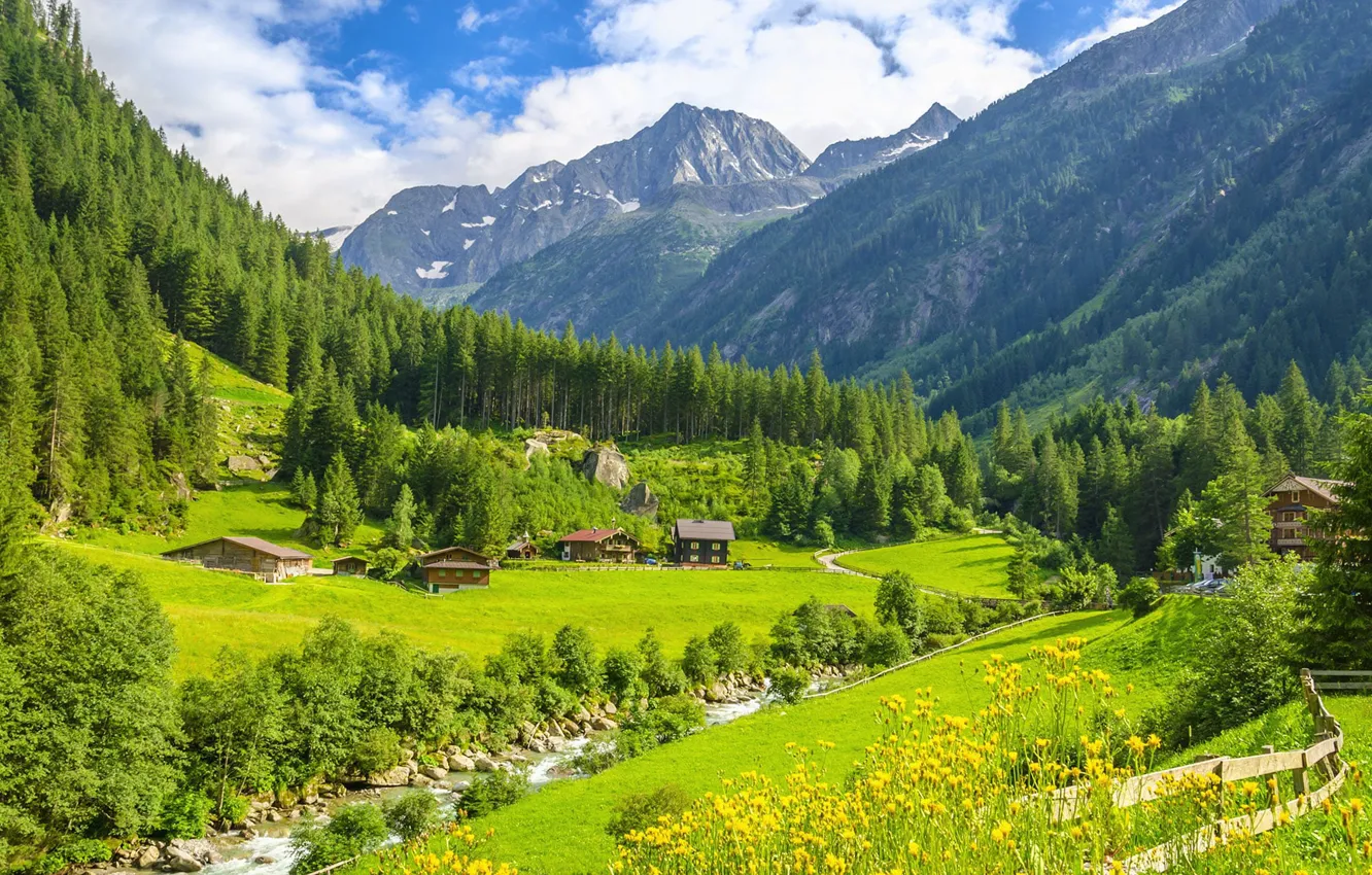 Photo wallpaper mountains, Austria, Alps, meadows, Tyrol