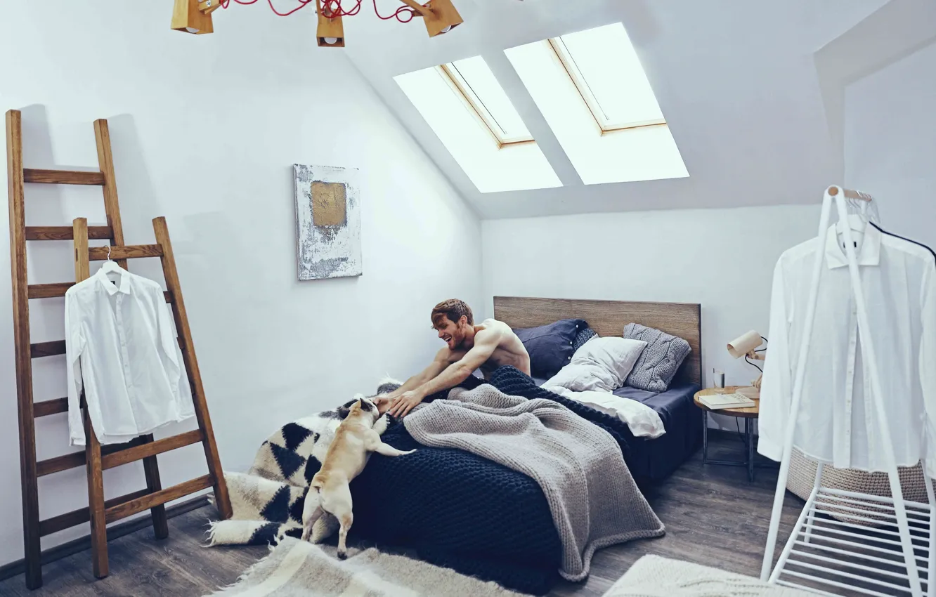Photo wallpaper comfort, interior, dog, male, bedroom, Scandinavian style