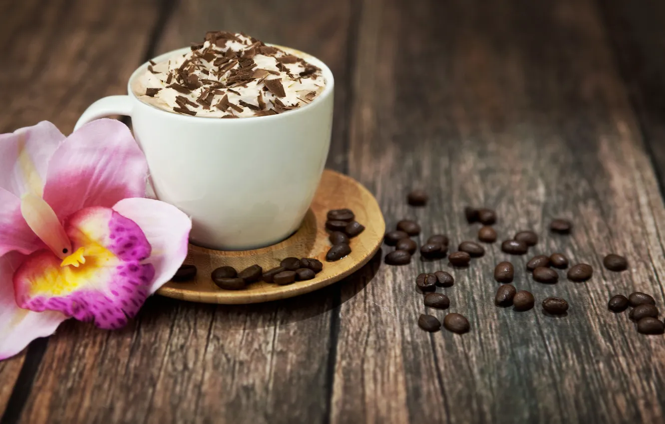Photo wallpaper flower, foam, pink, coffee, chocolate, grain, Cup, drink