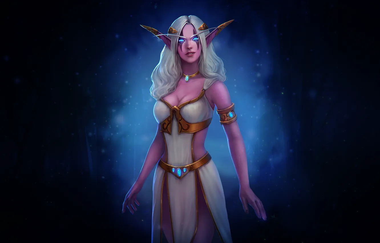 Photo wallpaper World of Warcraft, fantasy, Blizzard, Night Elf, warcraft, wow, night, art