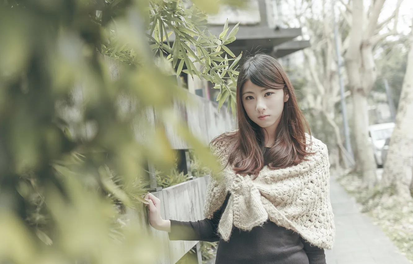 Photo wallpaper girl, foliage, Asian