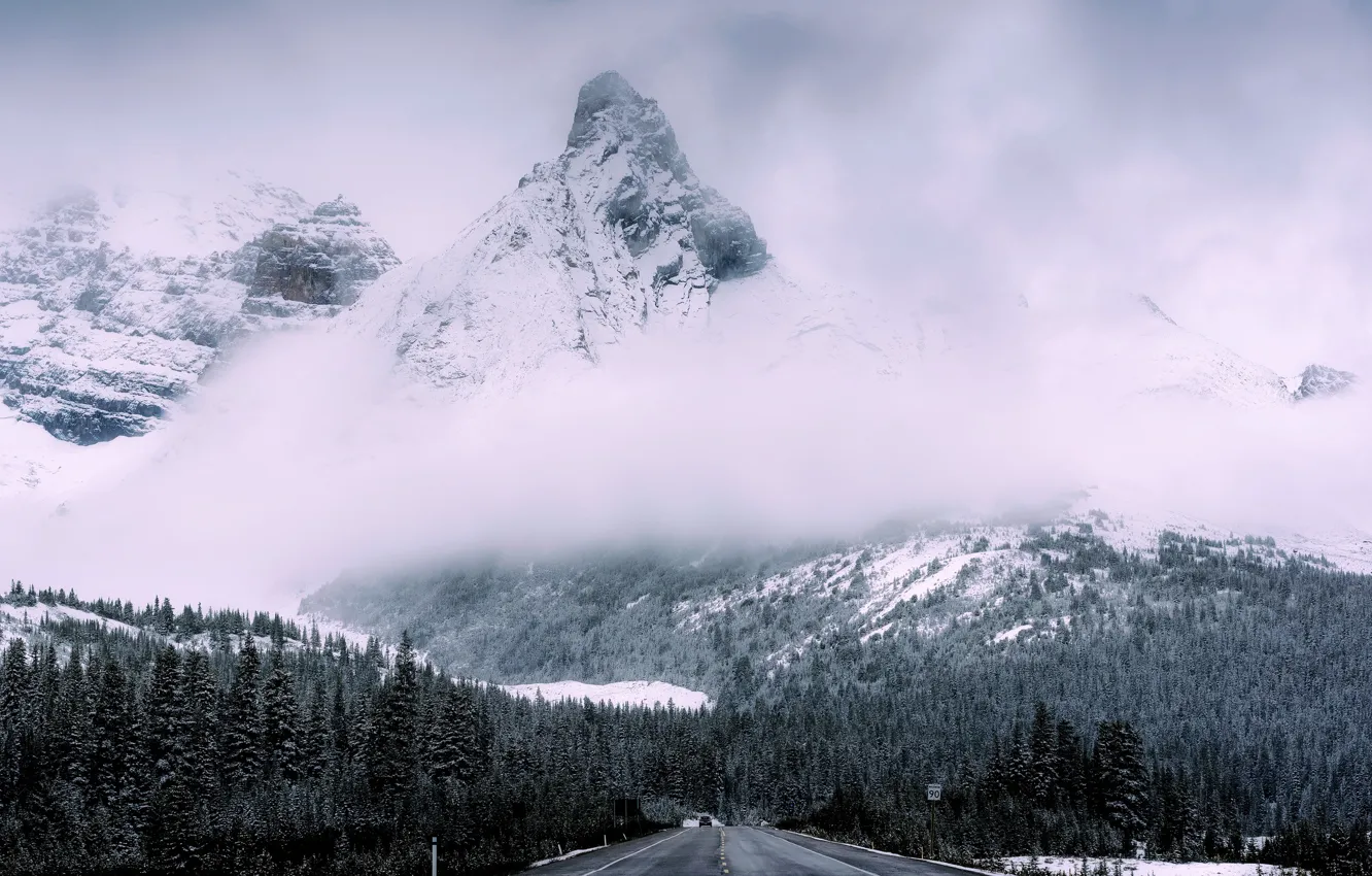 Photo wallpaper road, forest, mountains, nature, fog