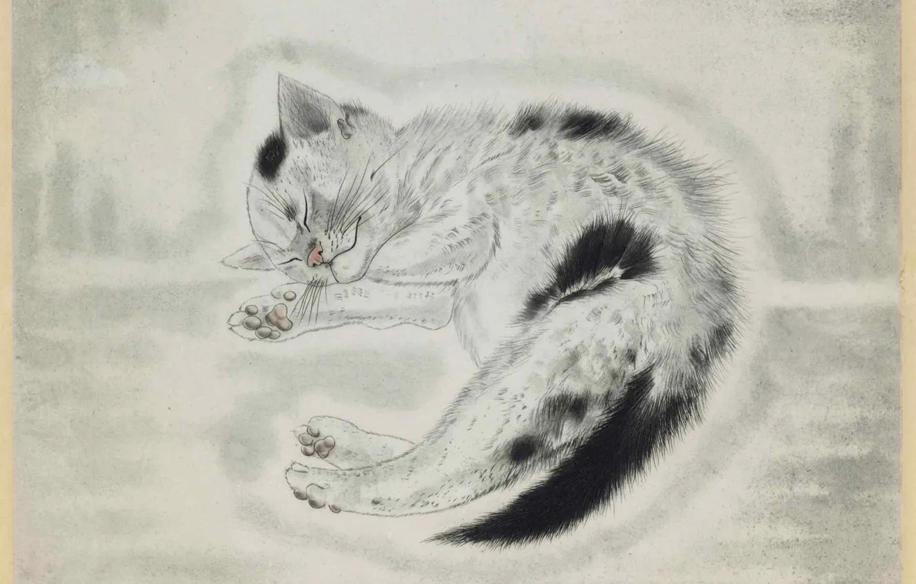 Photo wallpaper gloomy, 1930, engraving, Tsuguharu, Fujita, sleeping kitten, color etching