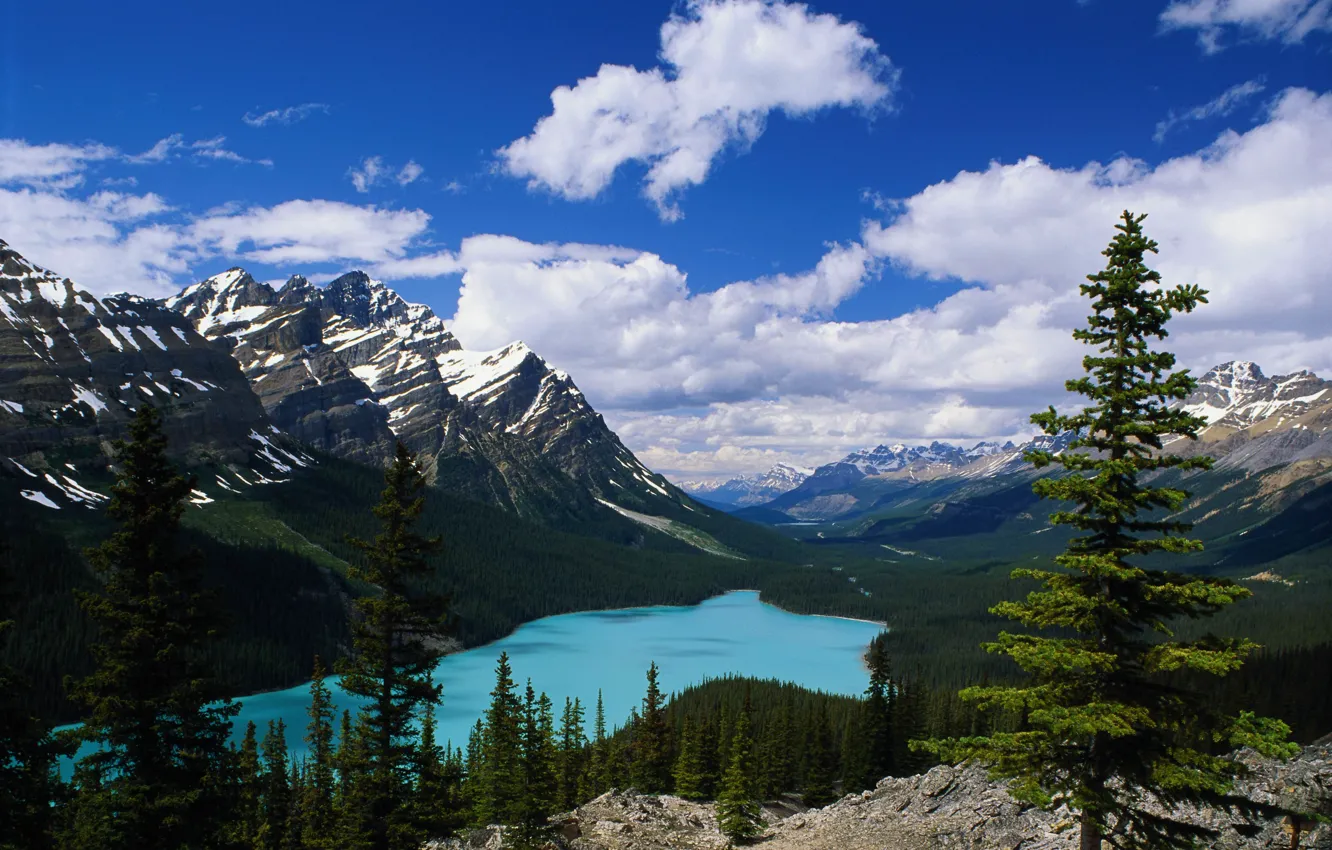 Photo wallpaper lake, ate, mountain, pine