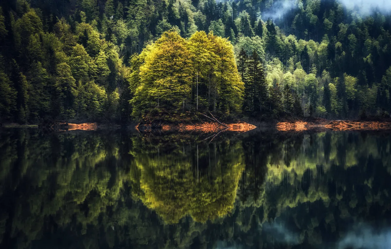Photo wallpaper forest, lake, reflection