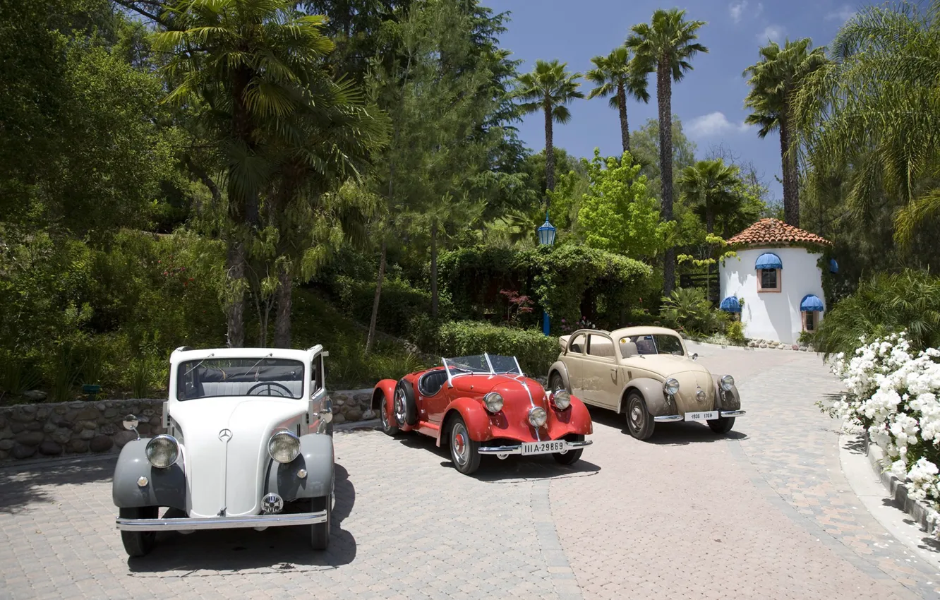 Photo wallpaper exotic, classic, cars, Mercedes-benz, classic
