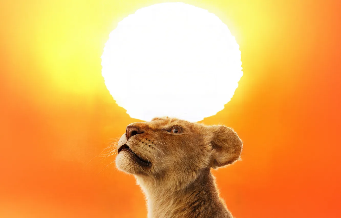 Photo wallpaper the sun, Simba, lion, MUFASA: THE LION KING