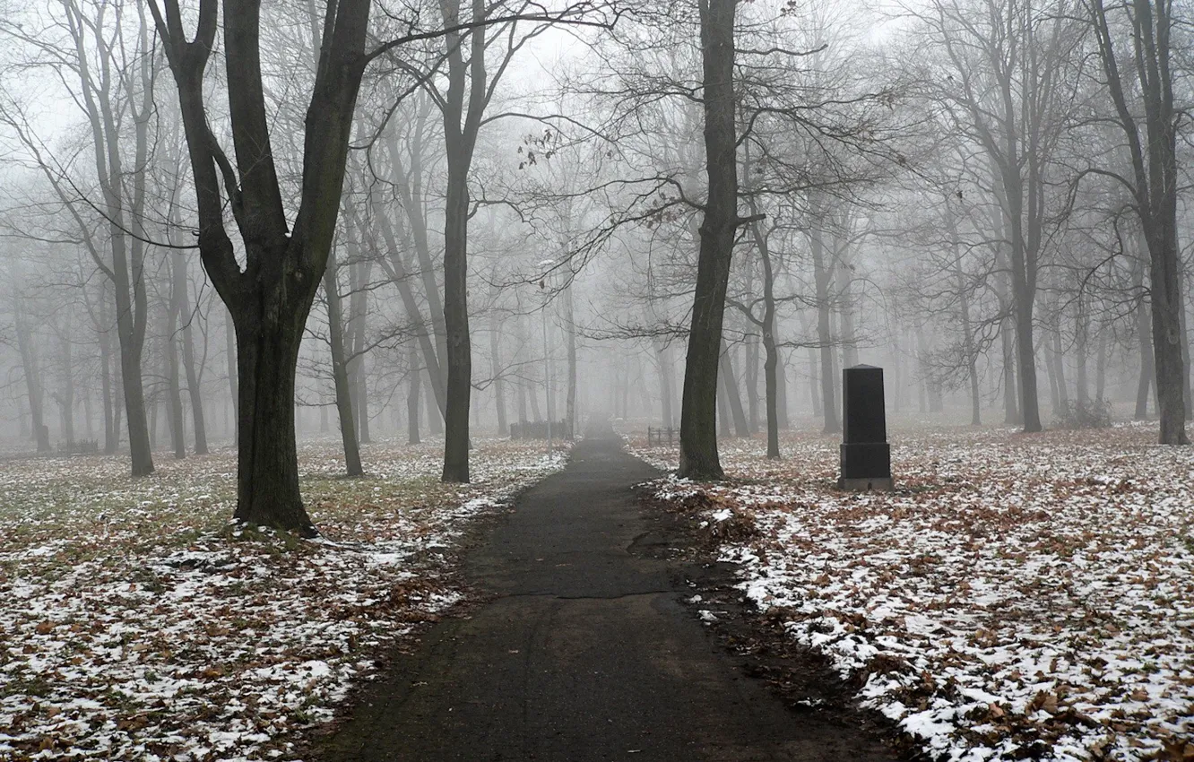 Photo wallpaper autumn, snow, trees, fog, trail, monument