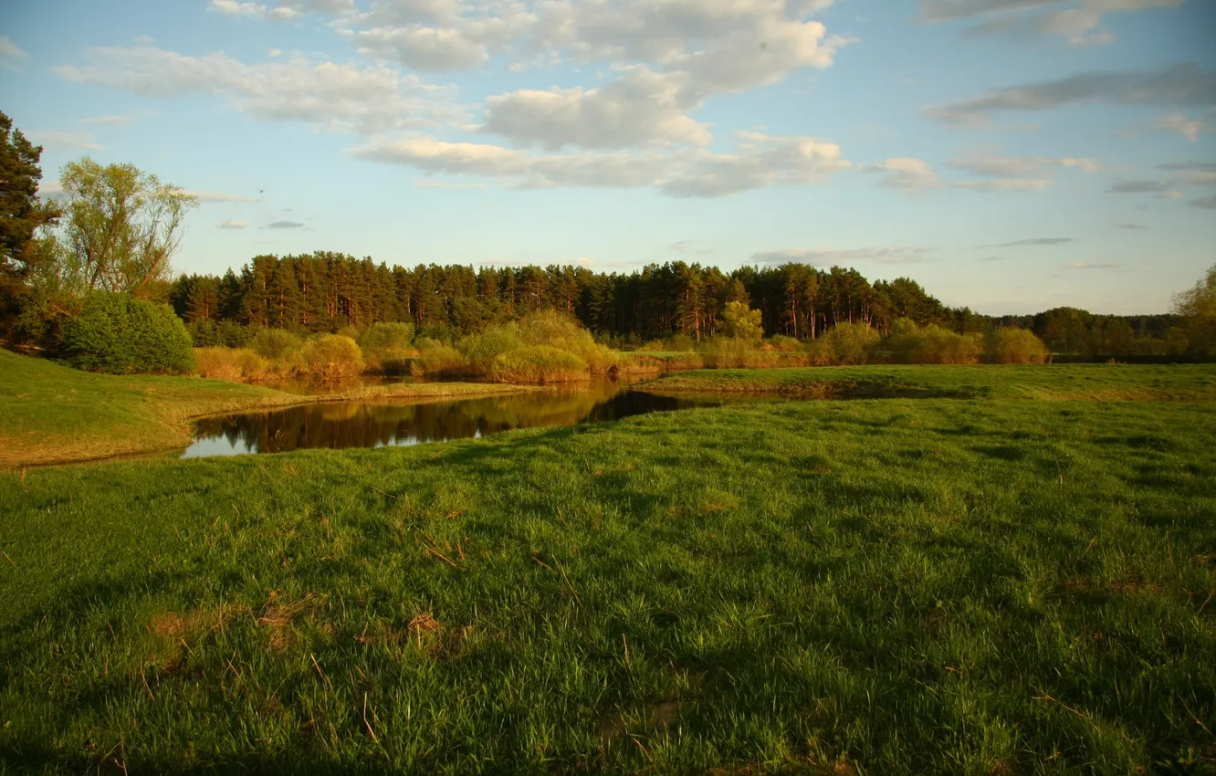 Photo wallpaper greens, forest, summer, the sky, clouds, landscape, nature, river