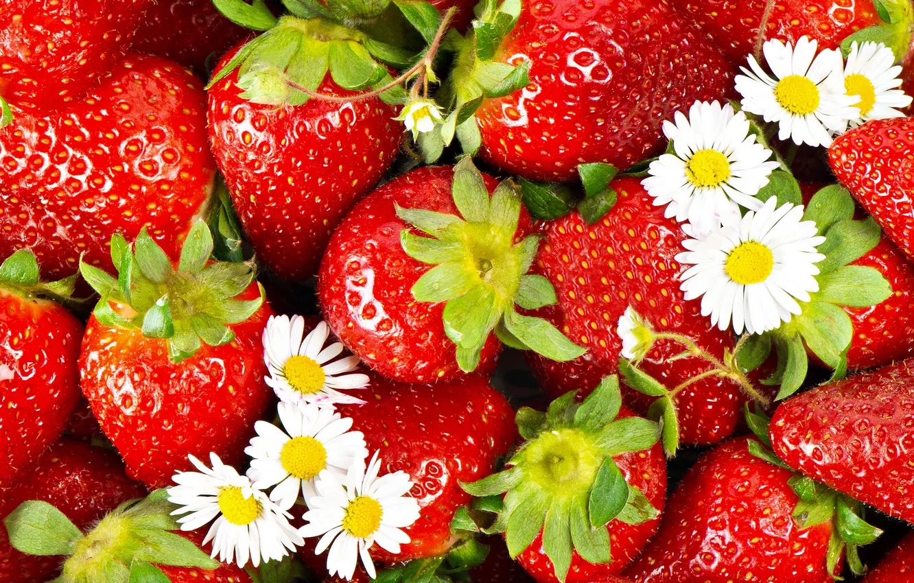 Photo wallpaper flowers, red, berries, chamomile, strawberry