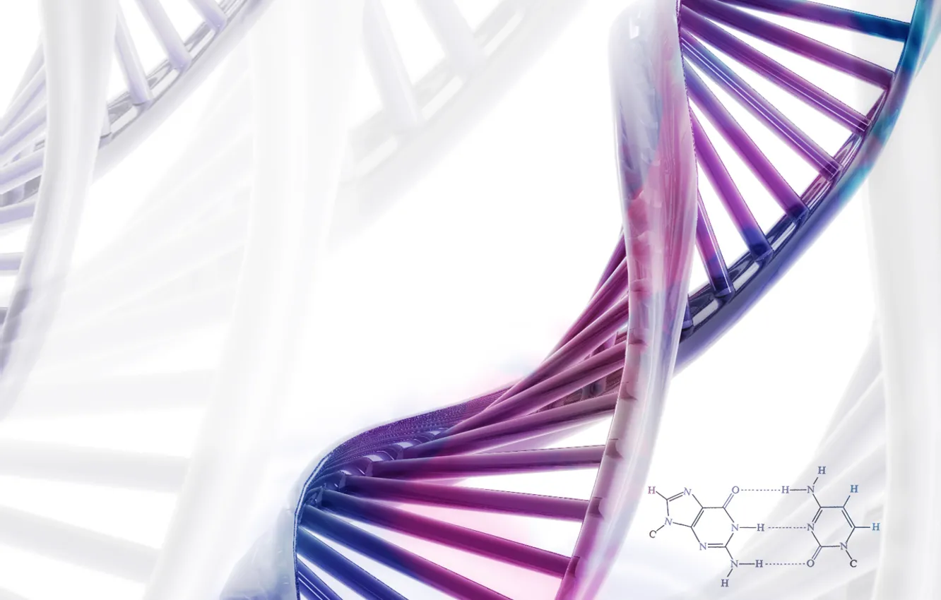 Photo wallpaper science, DNA, formula