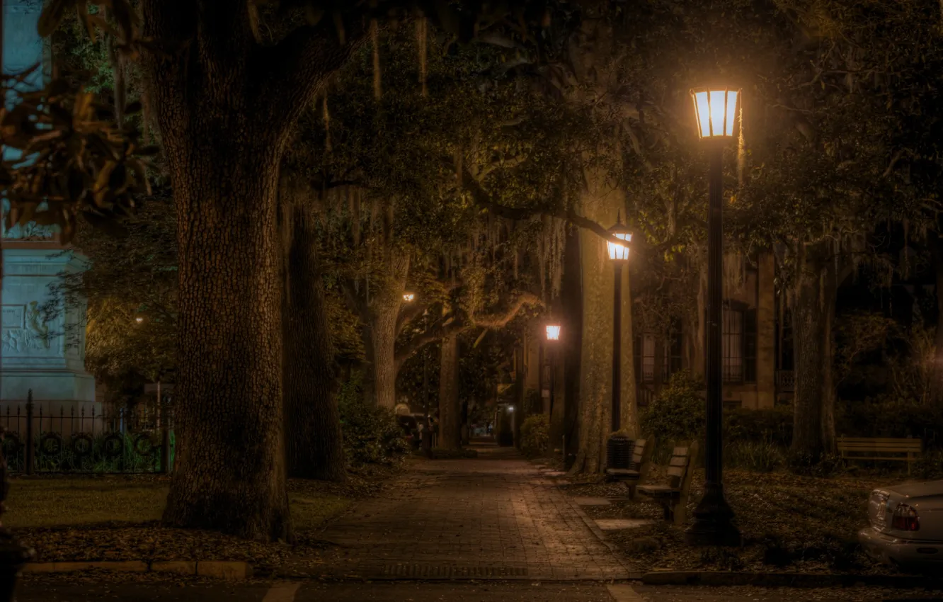 Photo wallpaper road, light, trees, bench, night, the city, street, lights