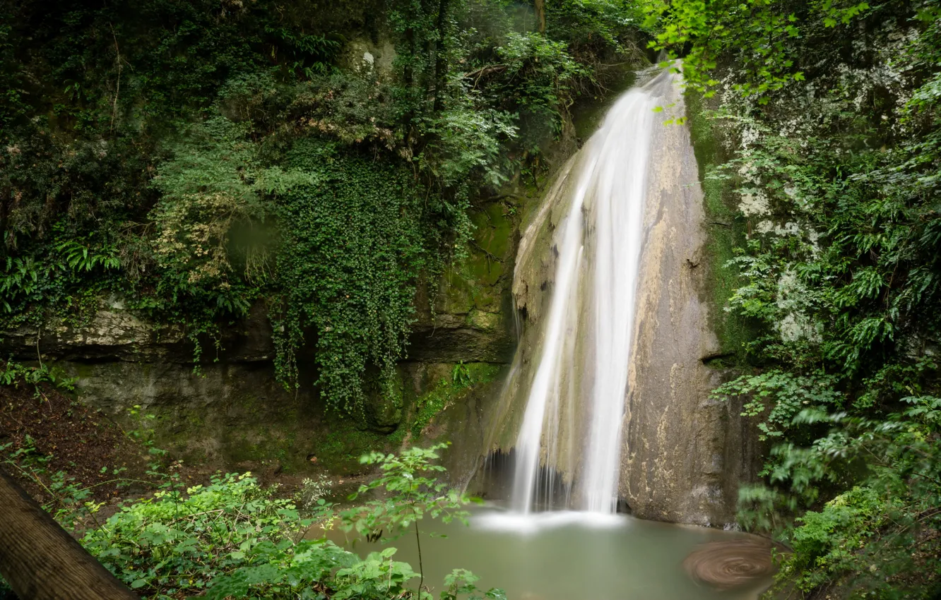 Photo wallpaper greens, branches, rock, Park, foliage, waterfall, moss, Italy