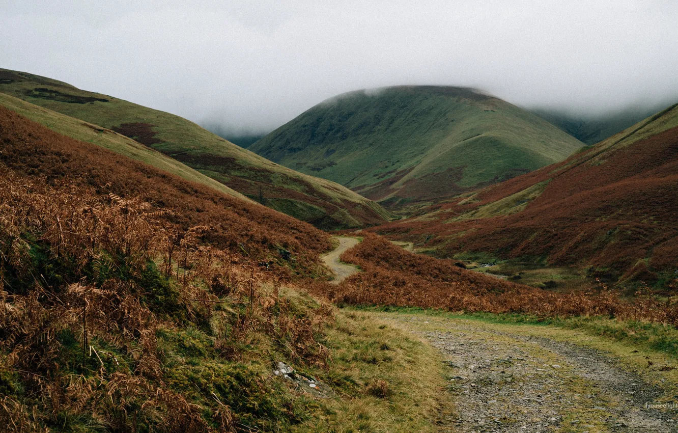 Photo wallpaper green, road, sky, mountains