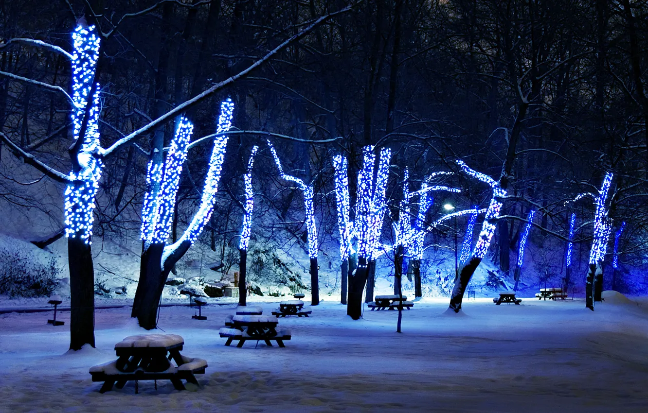 Photo wallpaper snow, trees, illumination