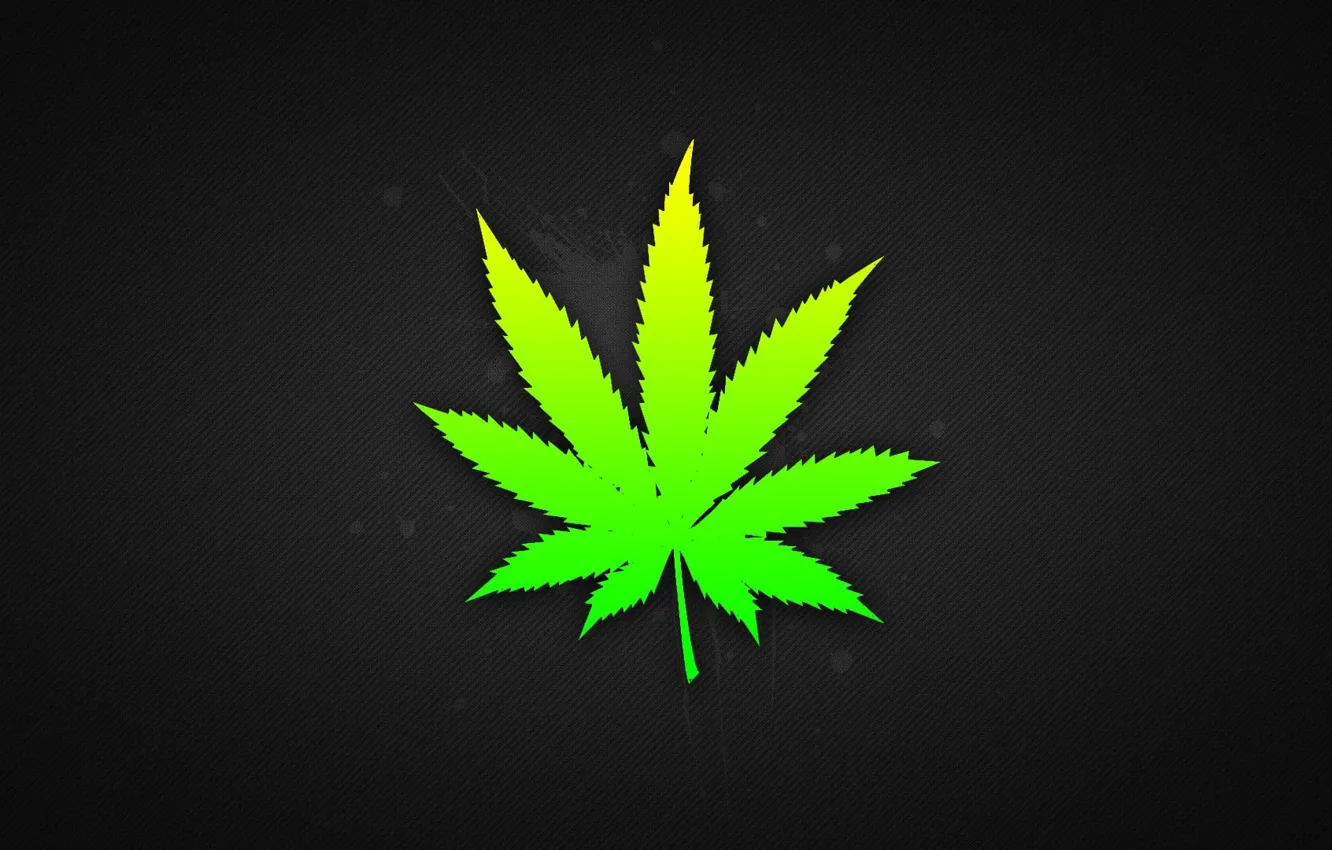 Photo wallpaper plant, hemp, marijuana, Drugs, cannabinol, trafka, cannabis