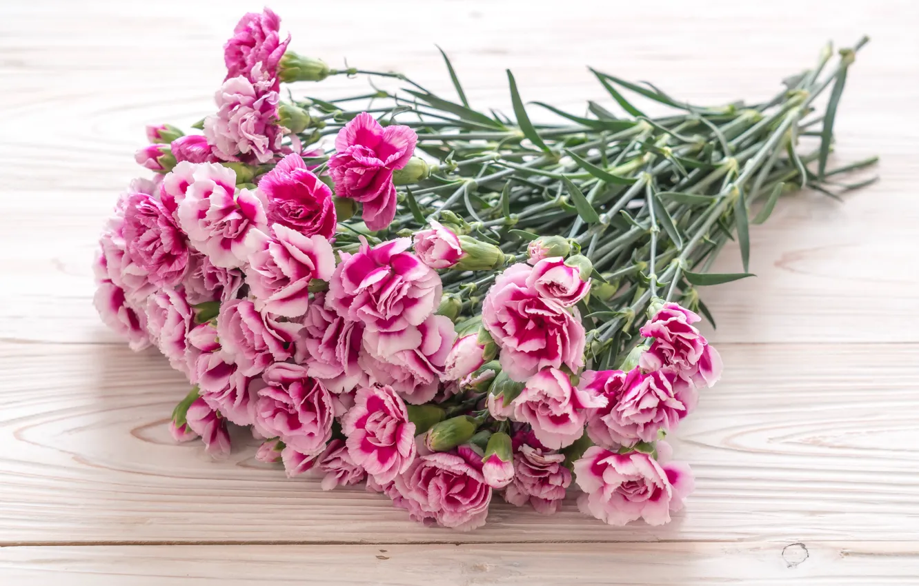 Photo wallpaper flowers, pink, wood, pink, flowers, clove