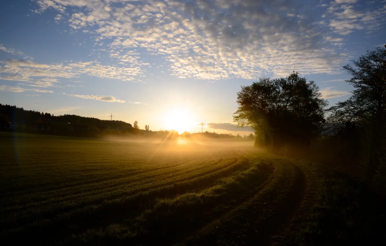 Photo wallpaper field, fog, morning