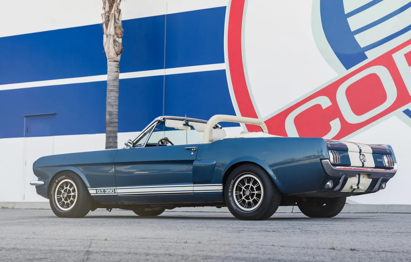 Photo wallpaper AVTOМАШИНЫ