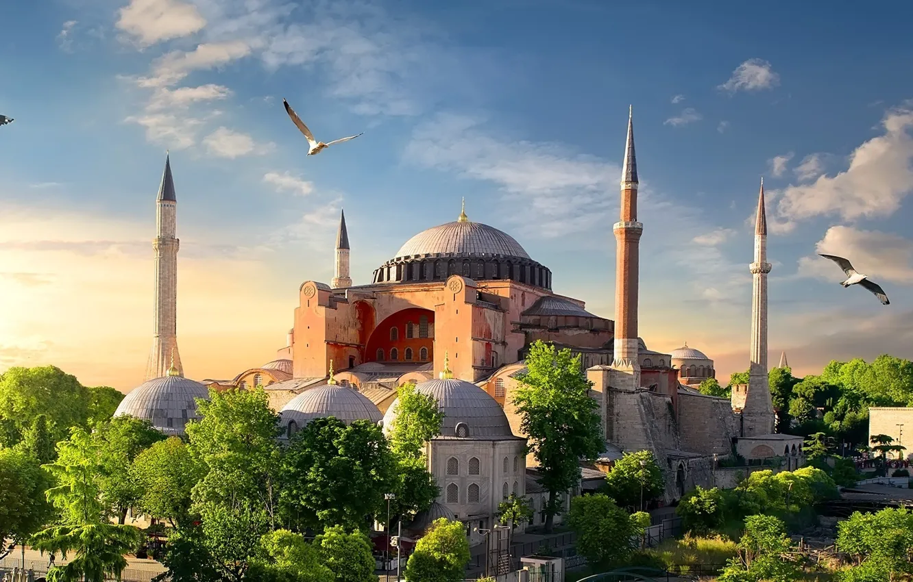 Photo wallpaper Istanbul, seagull, Hagia Sophia, hagia sophia mosque