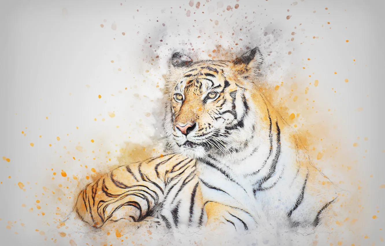 Photo wallpaper cat, look, tiger, picture, watercolor, lies