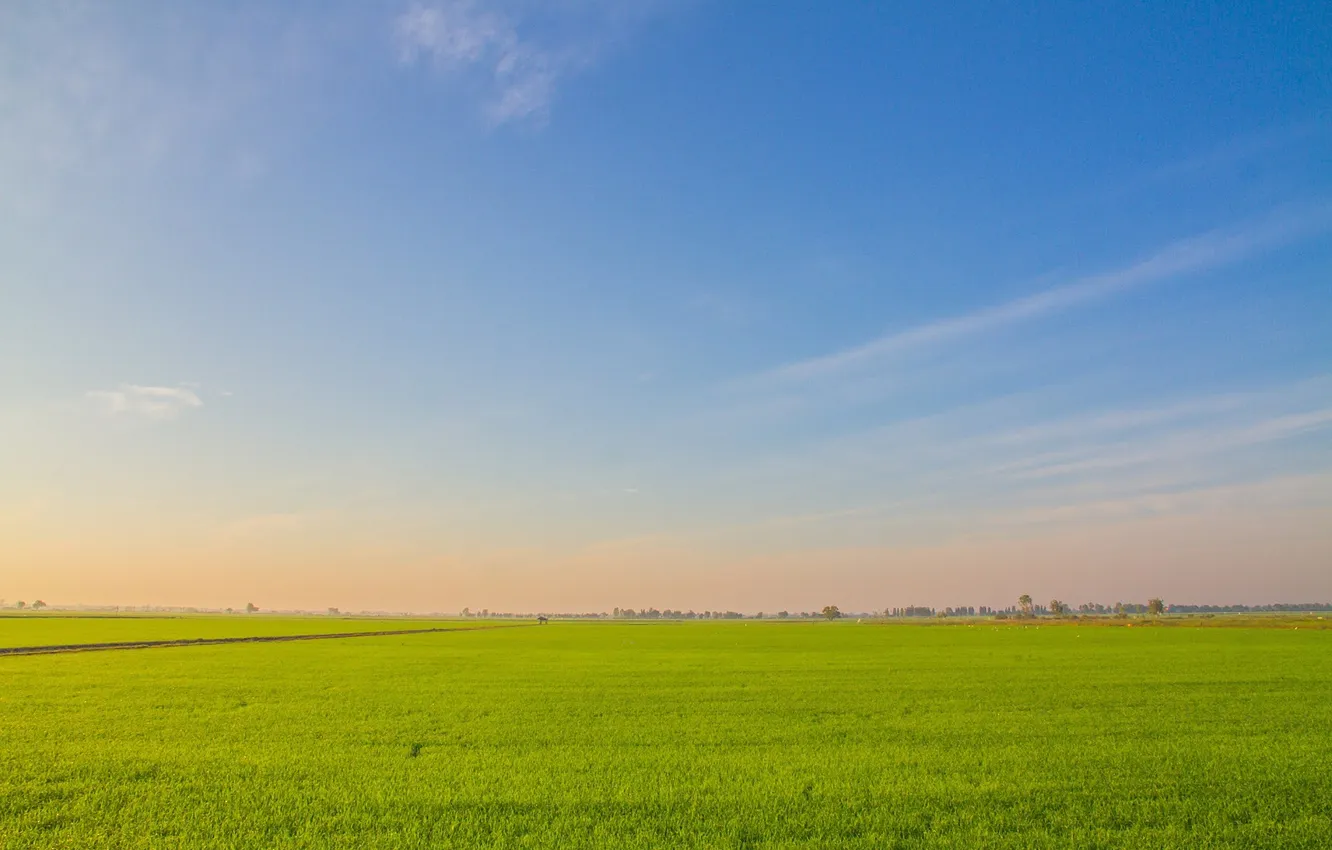 Photo wallpaper field, the sky, grass, clouds, landscape, sunset, nature, horizon
