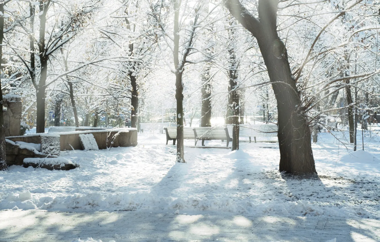 Photo wallpaper winter, the sun, rays, snow, Park, benches, Snow trees, dervla