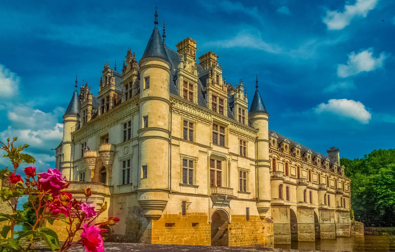 Photo wallpaper flowers, France, the castle of Chenonceau