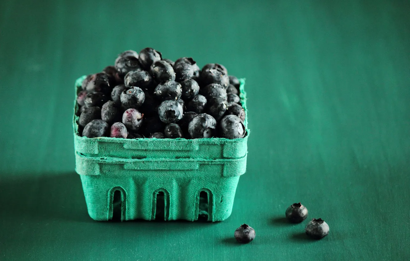 Photo wallpaper berry, blue, bluberries