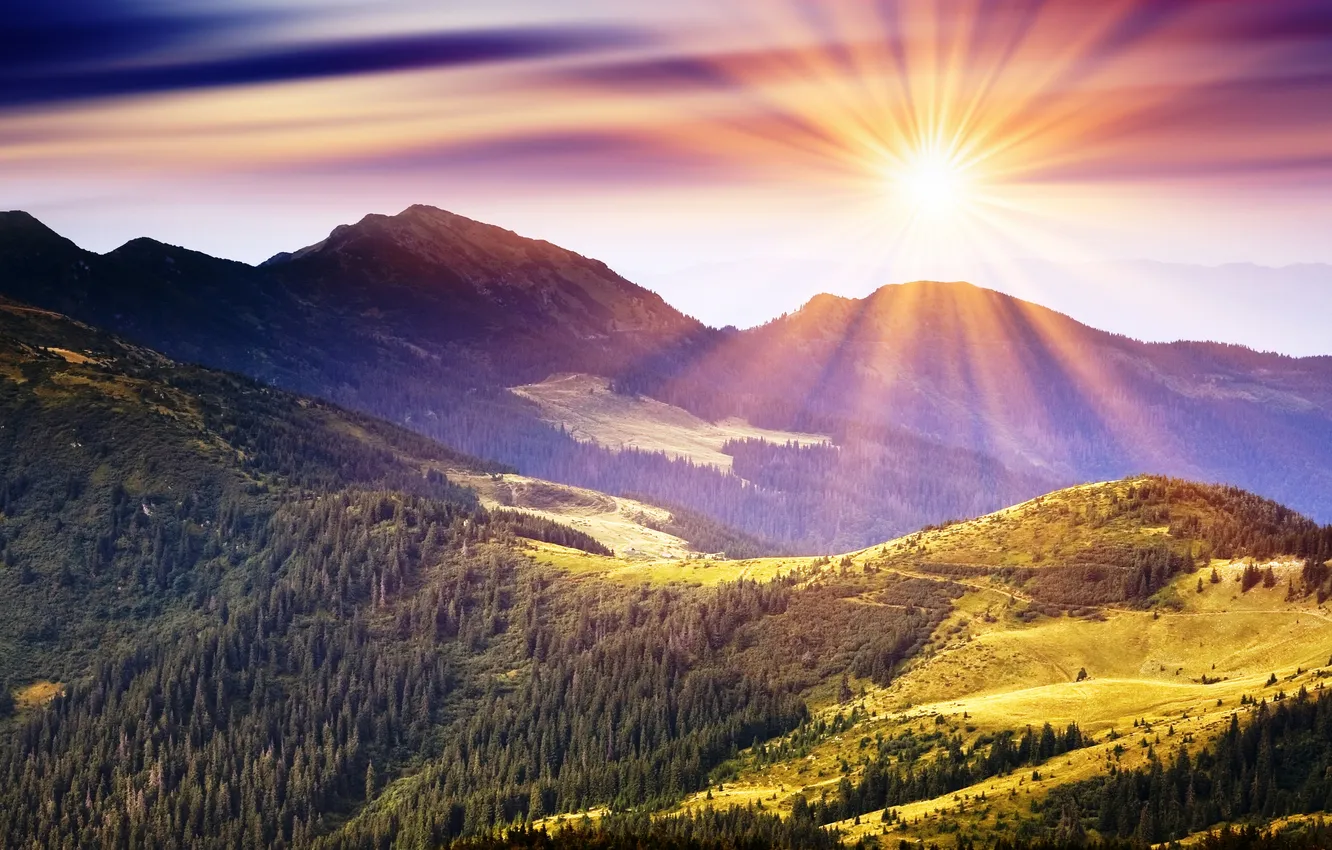 Photo wallpaper greens, the sky, the sun, rays, trees, mountains, nature, hills