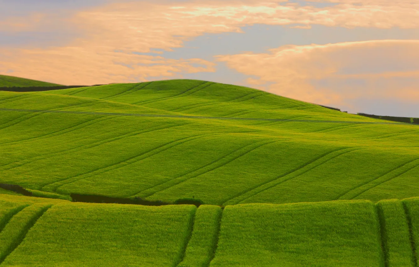 Photo wallpaper greens, field, grass, landscape, photo, hills, beautiful Wallpaper