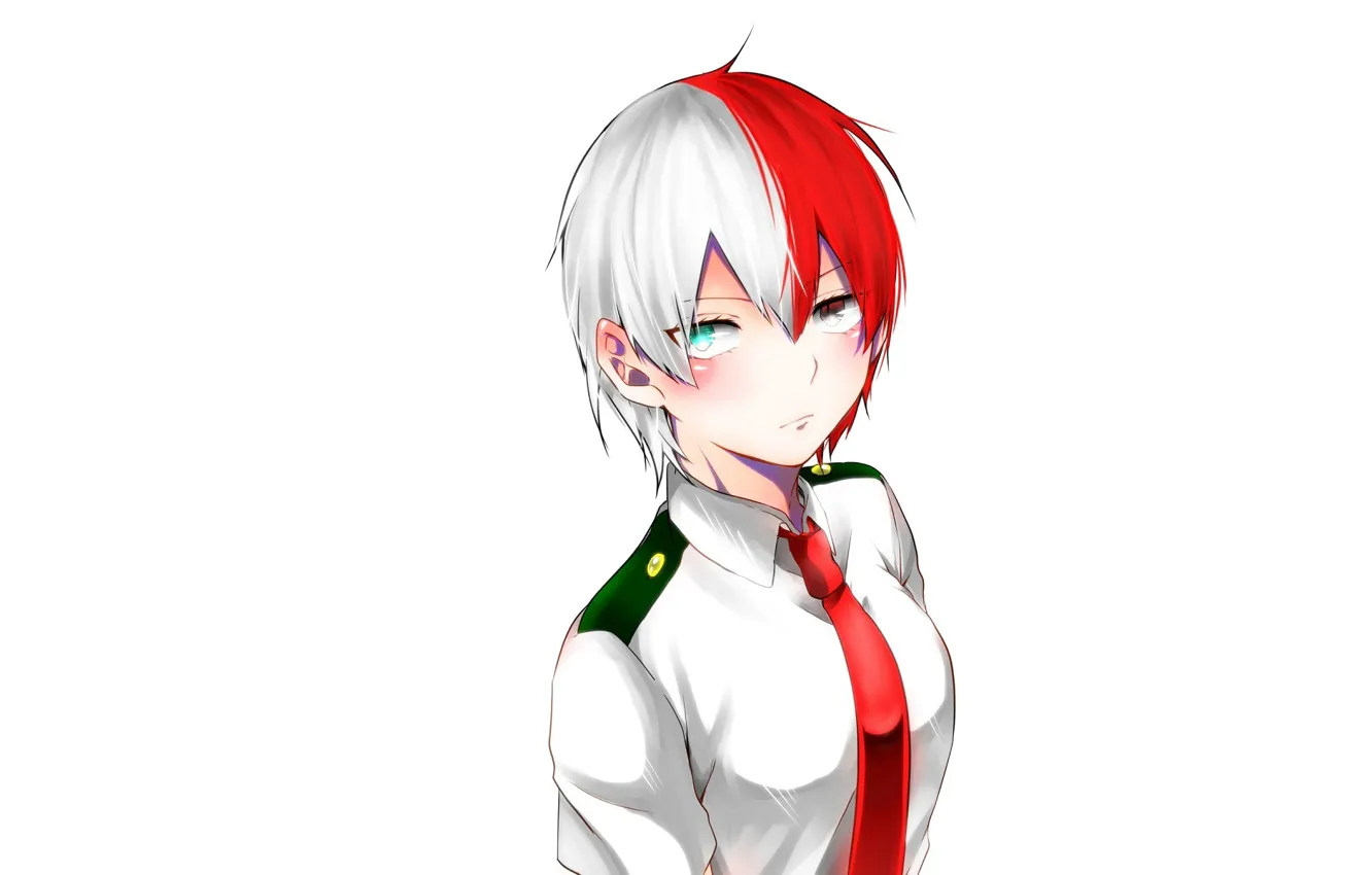 Photo wallpaper Boku no Hero Academy, Todoroki Shouto, Fanart From Pixiv