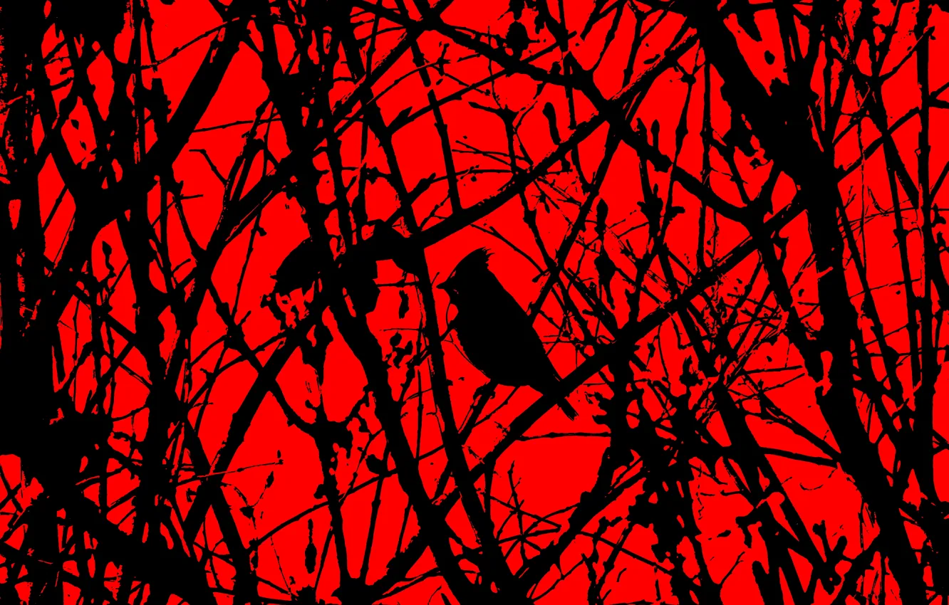 Photo wallpaper forest, horror, red and black, black bird