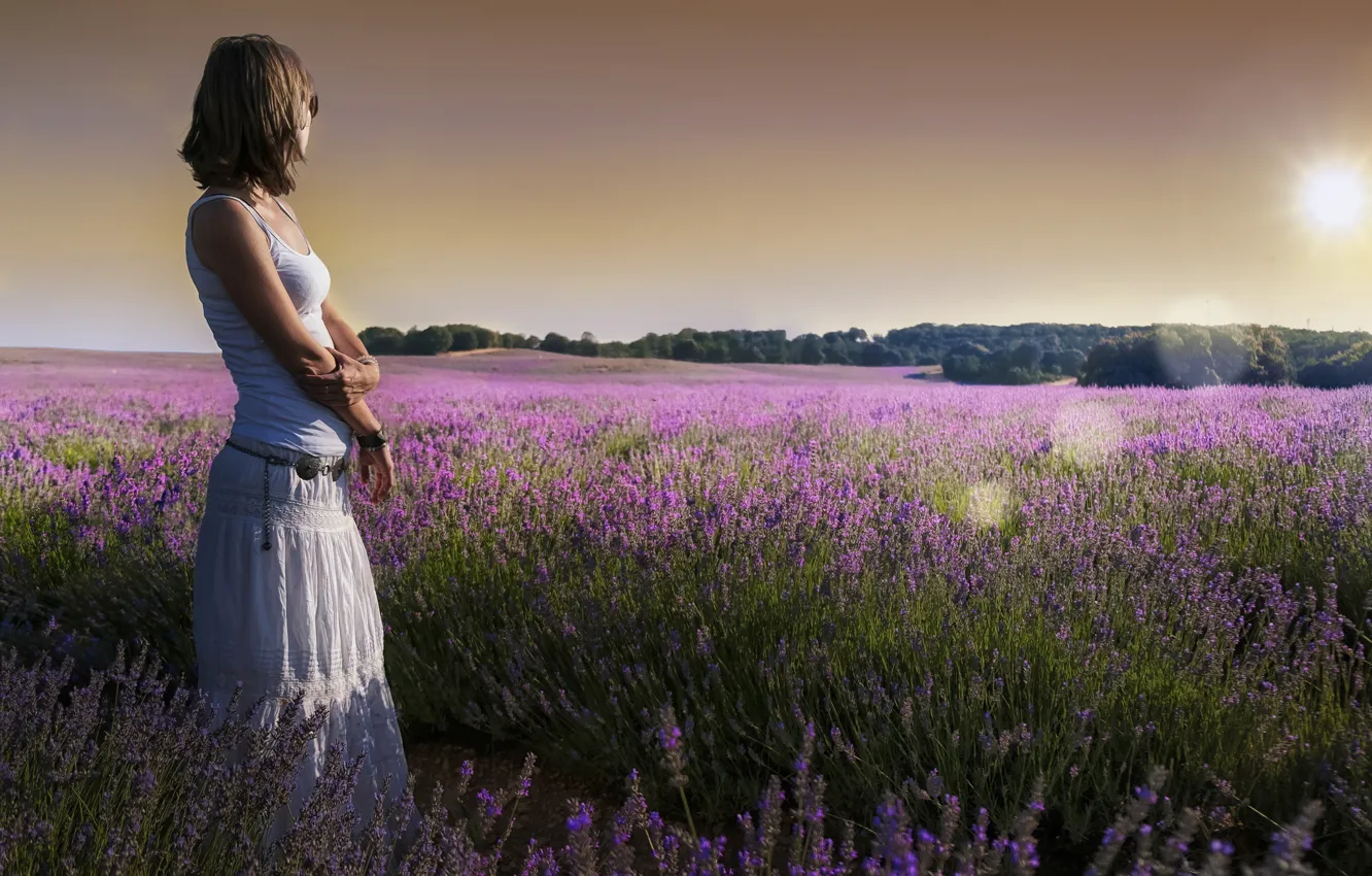 Photo wallpaper summer, girl, lavender