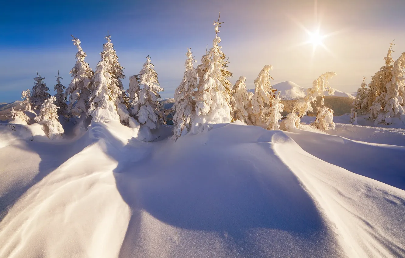 Photo wallpaper winter, forest, the sky, the sun, light, snow, in the snow, slope