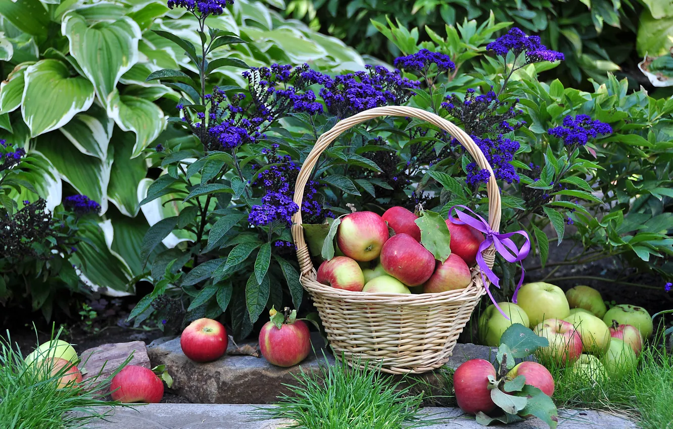 Photo wallpaper flowers, apples, harvest, basket