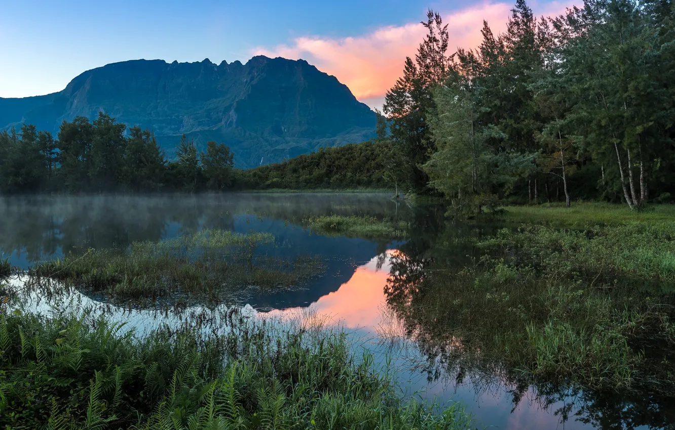 Photo wallpaper forest, mountains, lake