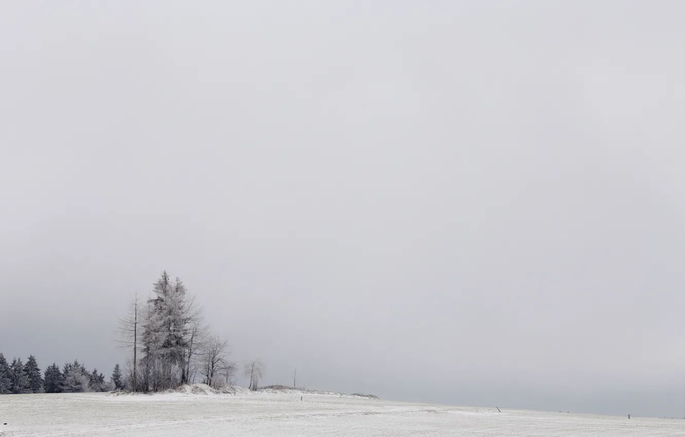 Photo wallpaper winter, field, snow, trees, nature, fog