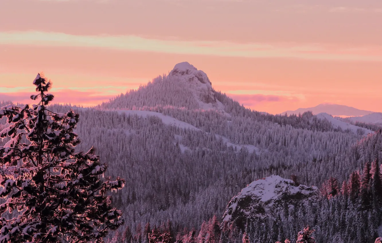 Photo wallpaper winter, forest, snow, trees, mountains, Oregon, USA, USA
