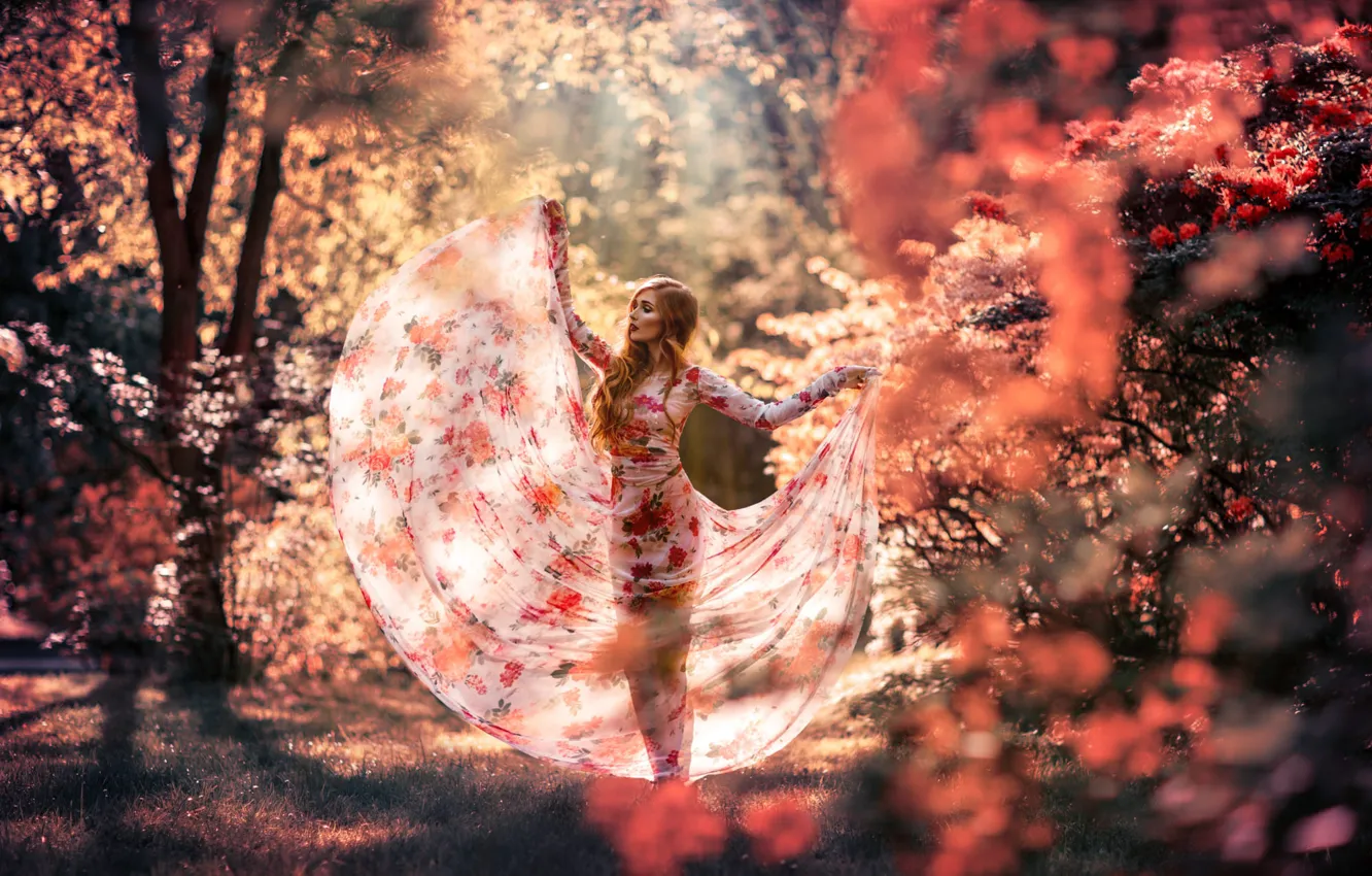 Photo wallpaper autumn, girl, trees, pose, Park, dress, Theresa Franke