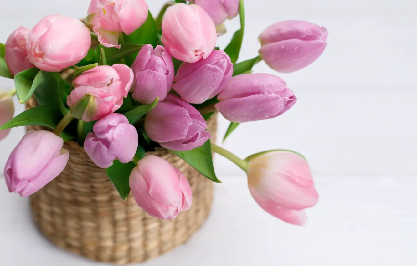Photo wallpaper flowers, close-up, bouquet, spring, tulips, pink, basket, light background