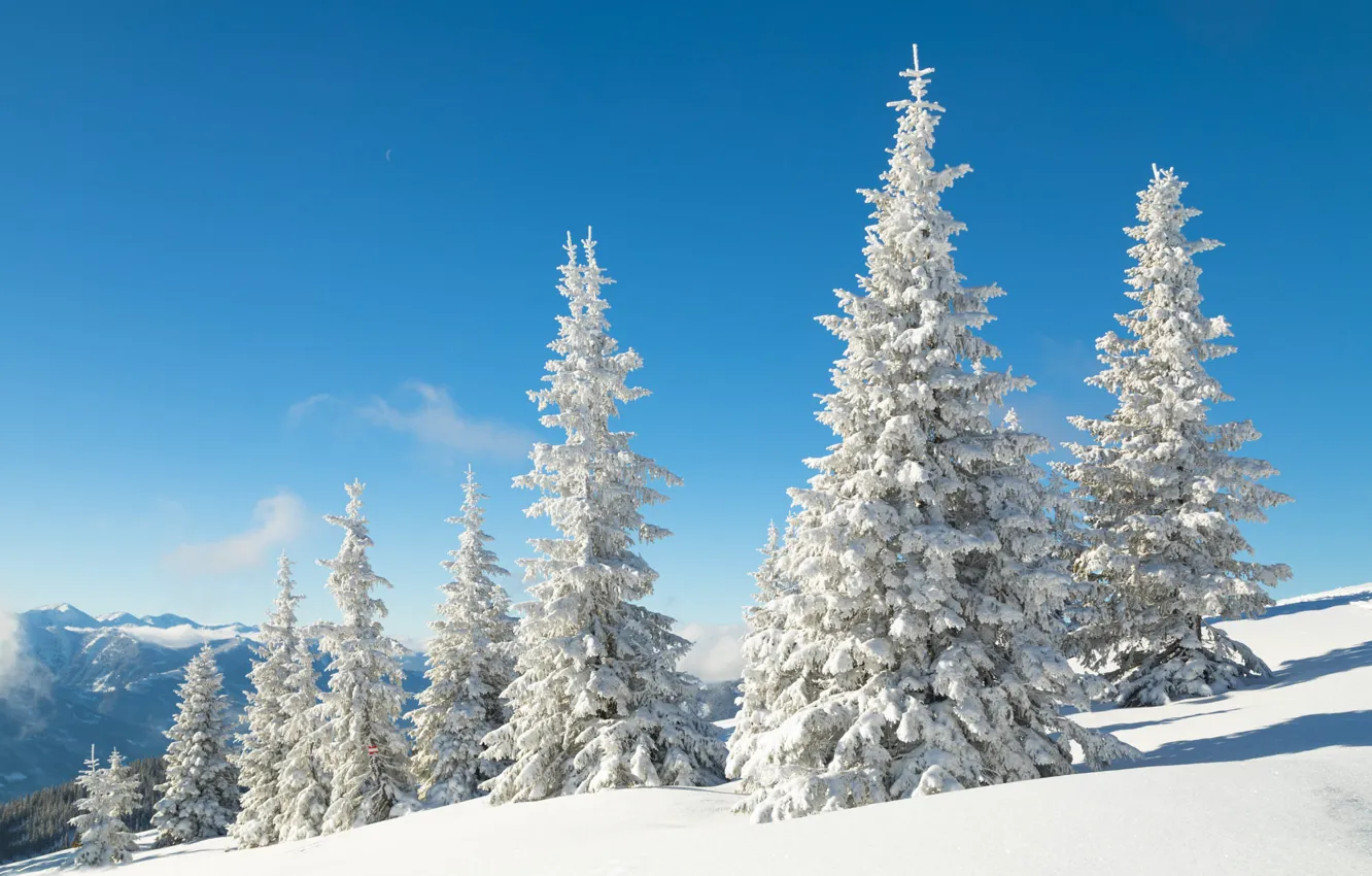 Photo wallpaper winter, frost, forest, the sky, light, snow, mountains, nature