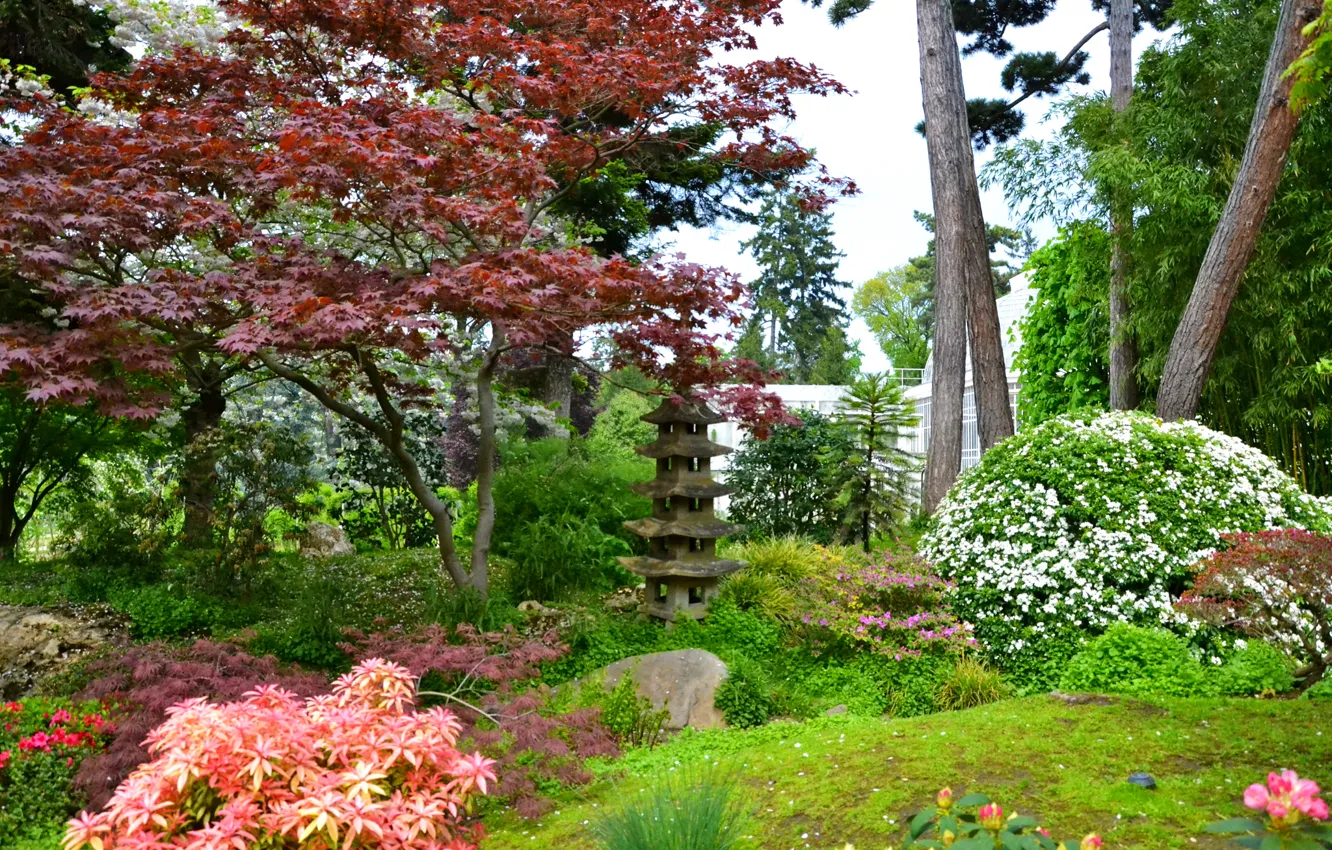 Photo wallpaper trees, flowers, France, Paris, garden, the bushes, Albert-Kahn, Japanese Gardens