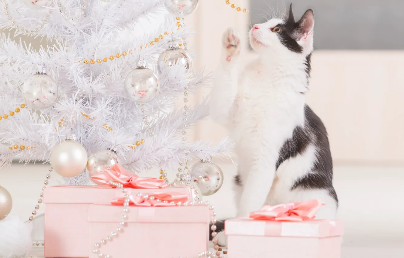 Photo wallpaper cat, holiday, toys, new year, gifts, beads, decoration