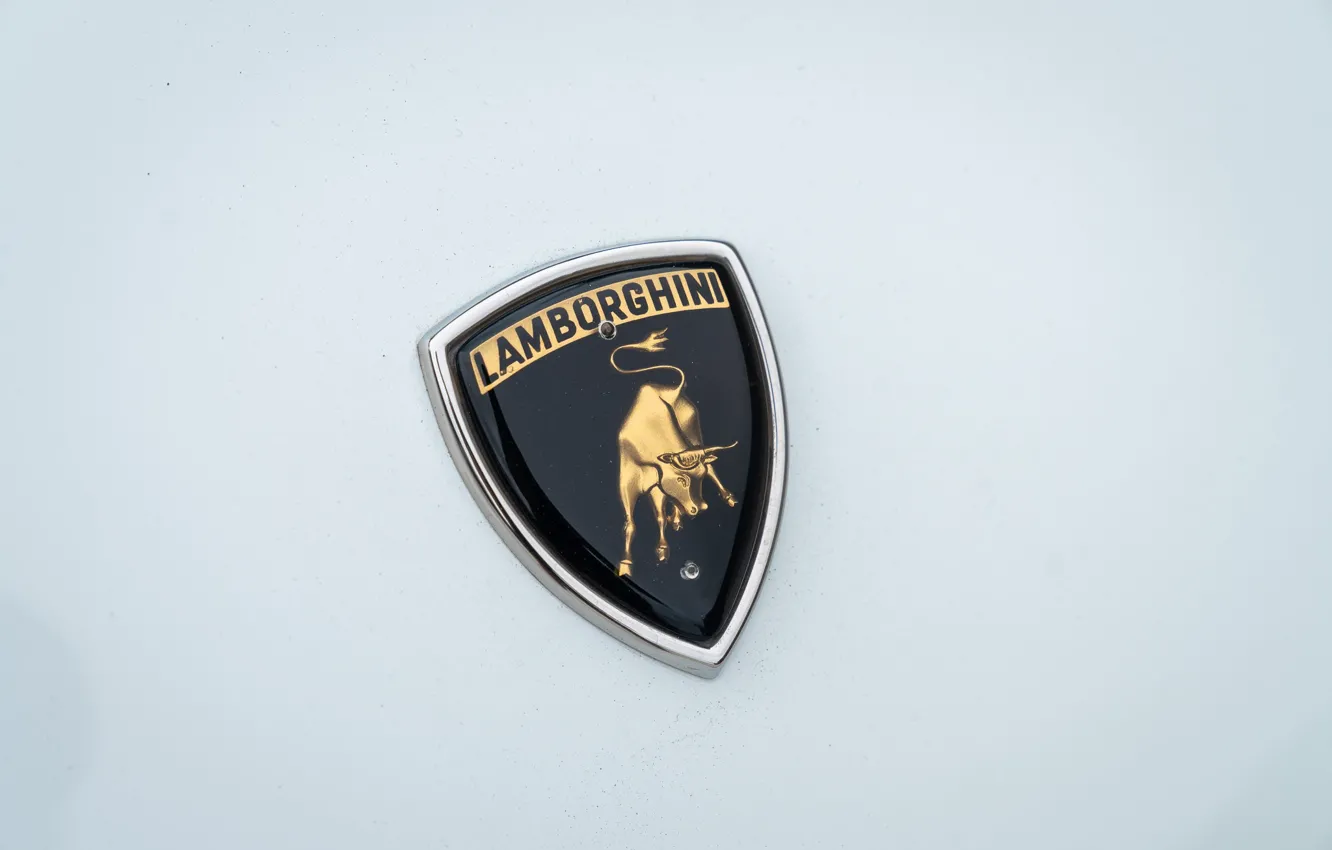 Photo wallpaper logo, Lamborghini, Lambo, logo, lambo, Countach, bull, bull