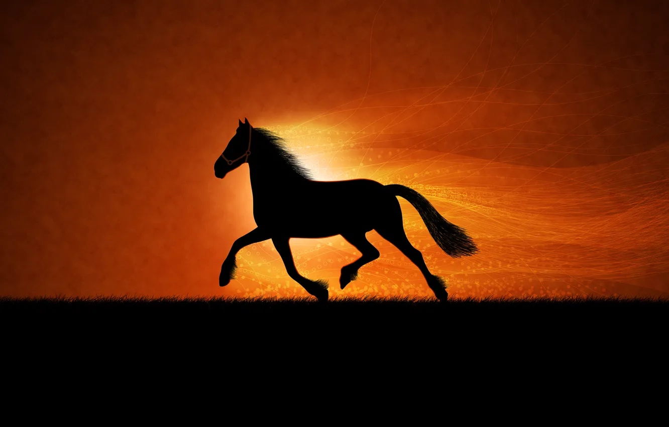 Photo wallpaper horse, figure