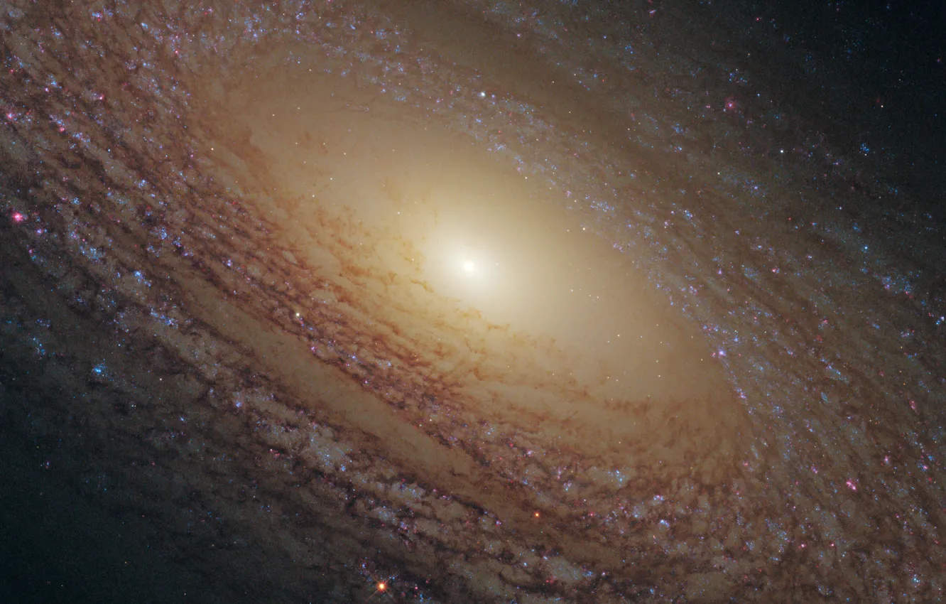 Photo wallpaper constellation, spiral galaxy, NGC 2841, The Big Dipper.